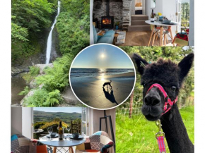 Little Cottage - Dogs welcome - Near Tywyn